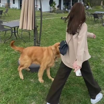 出走的娜拉